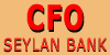 CFO - SEYLAN BANK